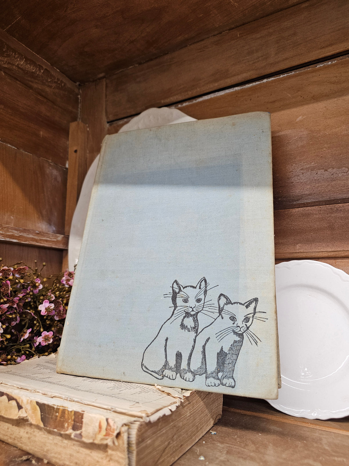 Cats cats cats book by Hamlyn