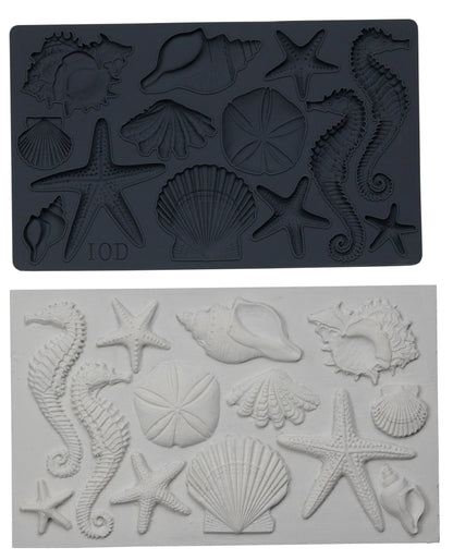 SEA SHELLS 6×10 IOD MOULDS