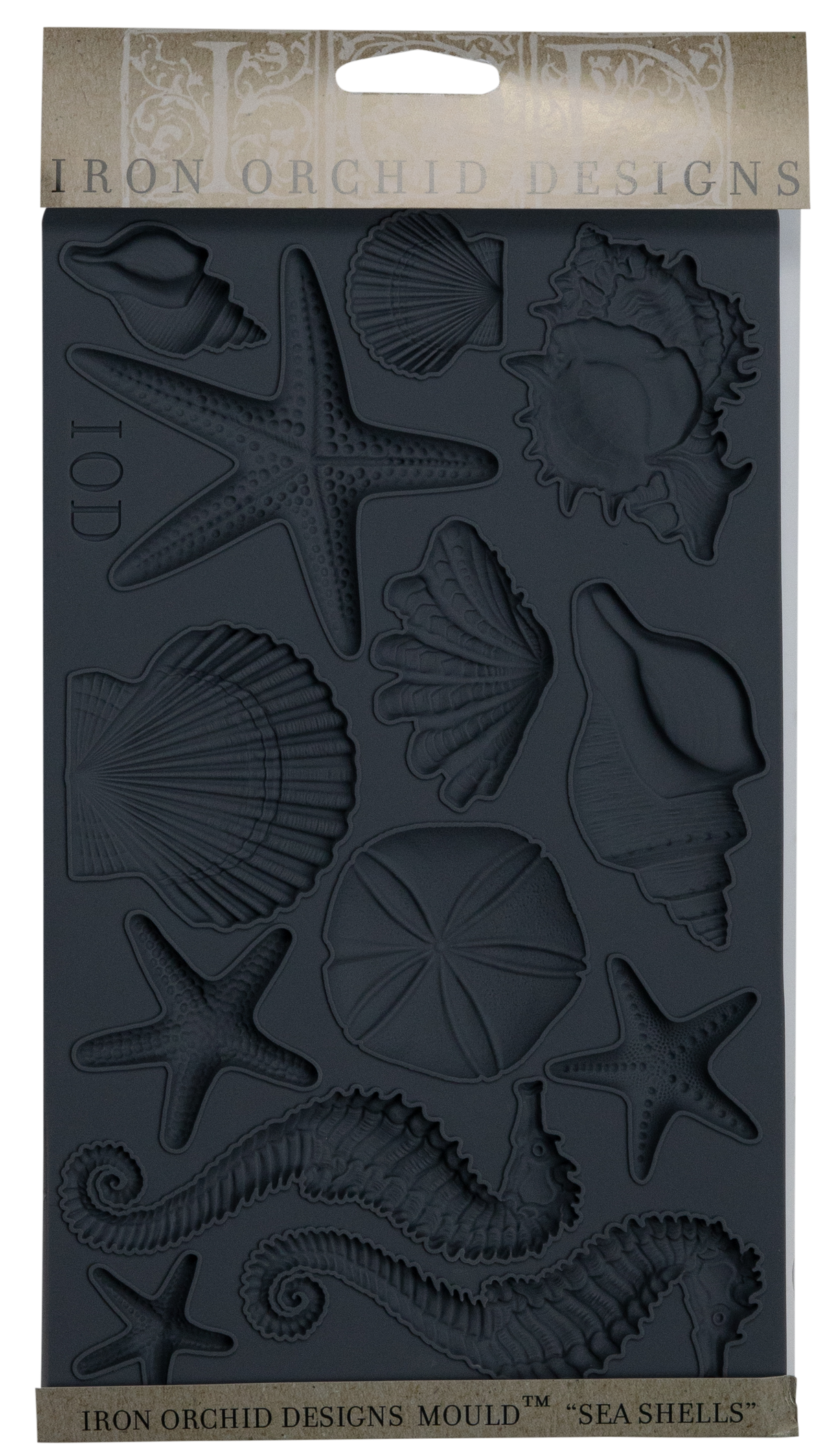 SEA SHELLS 6×10 IOD MOULDS