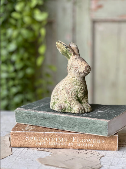 5.5" sitting mossy embossed Rabbit