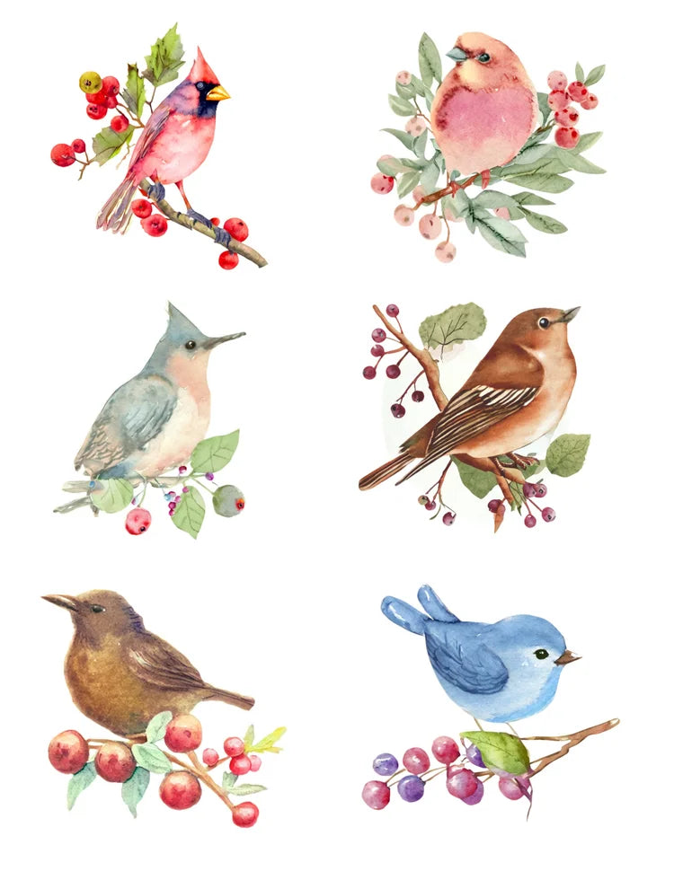 6 watercolor birds